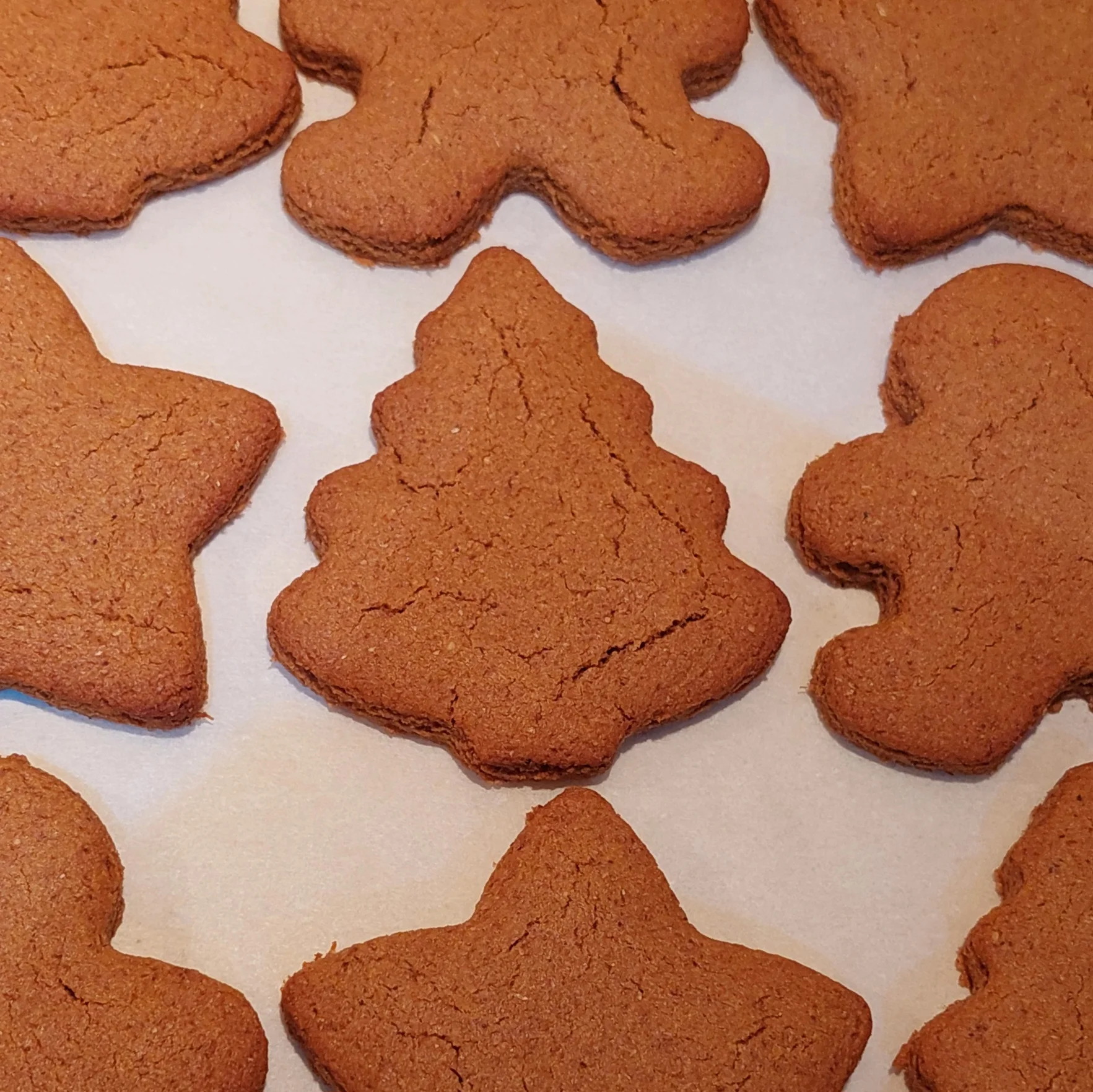 Gingerbread Cookies